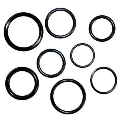 O-Rings