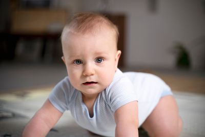 BEBE NIÑO 3 A 24 MESES