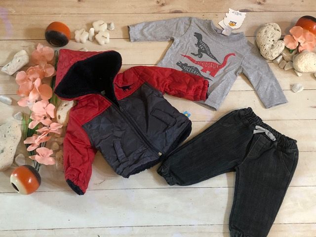 CONJUNTO 3 PIEZAS NIÑO CHAMARRA GRIS CON ROJO CAPUCHA DINOS