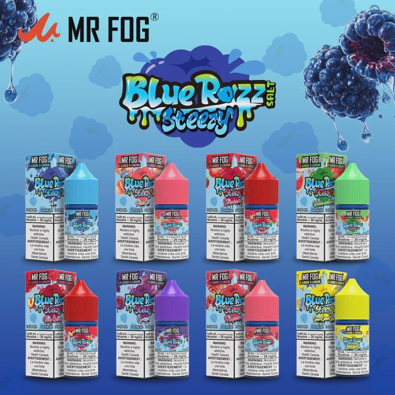 MR FOG Blue Razz Steezy Salt Nic