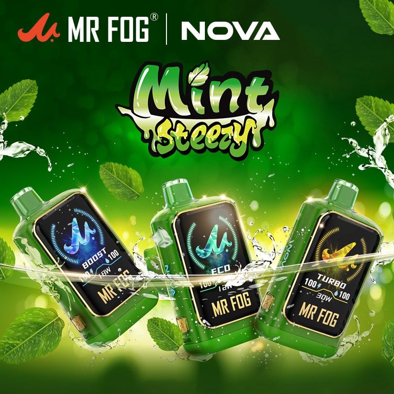 MR FOG NOVA 36K MINT STEEZY DISPOSABLE