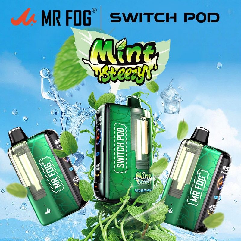MR FOG SWITCH POD +BATTERY KIT 45K MINT STEEZY DISPOSABLE