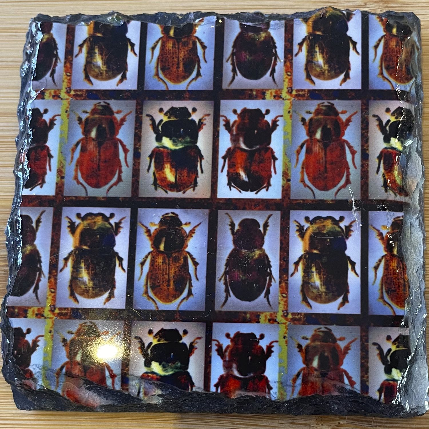 Bug Themed Coasters