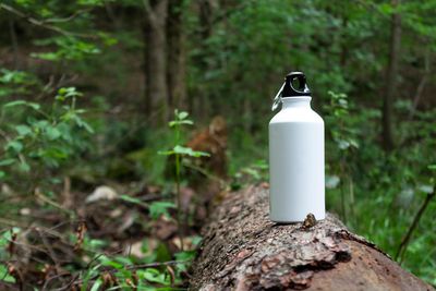 Drink Bottles, Cups &amp; Straws