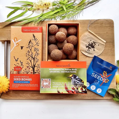 Native Bird Collection Seed Bombs