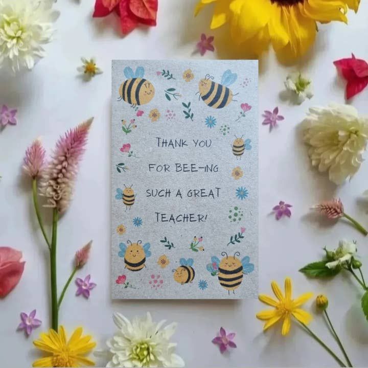 Australian Wildflower Seeds 0.5gm