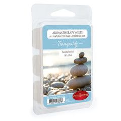 Aromatherapy Wax Melts