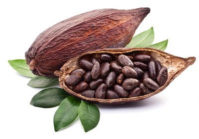 Chocolate