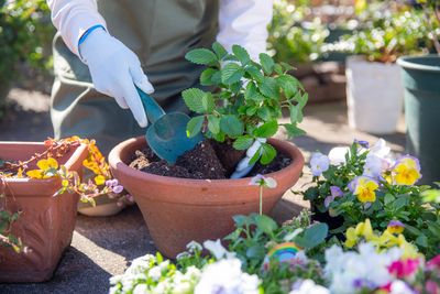 Plant Care