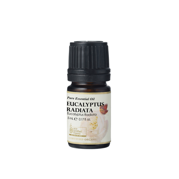 Organic Essential Oil Eucalyptus Radiata 10ml
