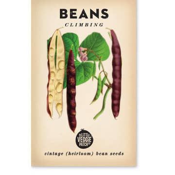 Heirloom Seeds, Type: Beans Climbing 'Scarlett Runner'
