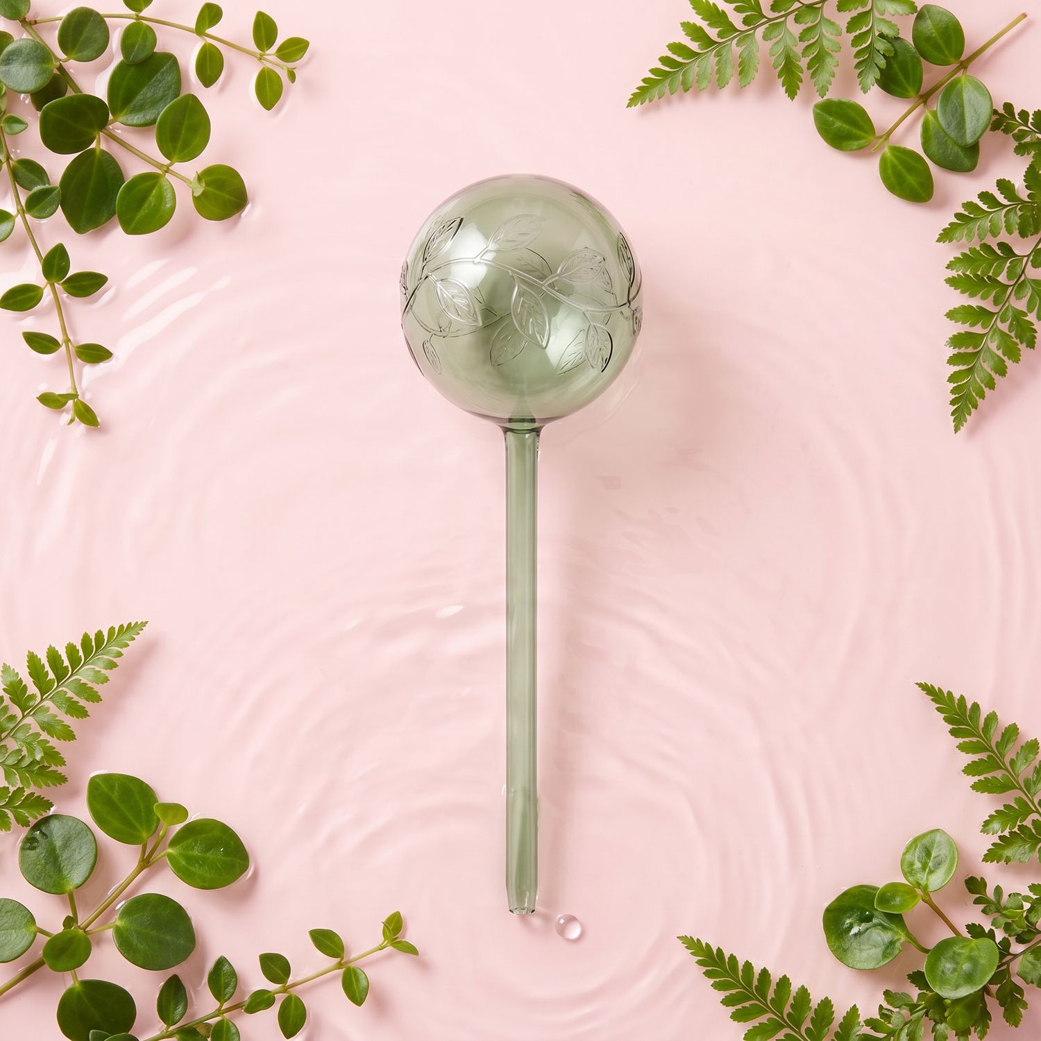 Self-Watering Plant Globes -  Green Vine