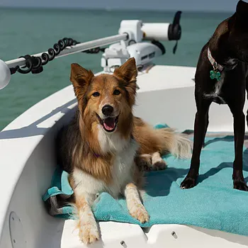 Soleil Beach Towel - Aqua