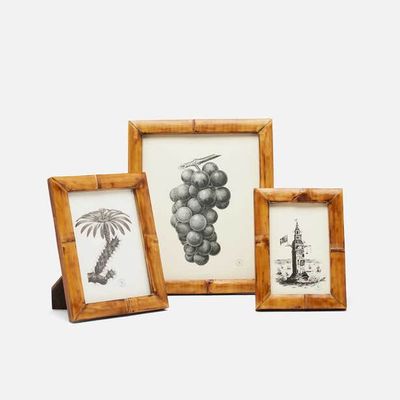 Greely Collection