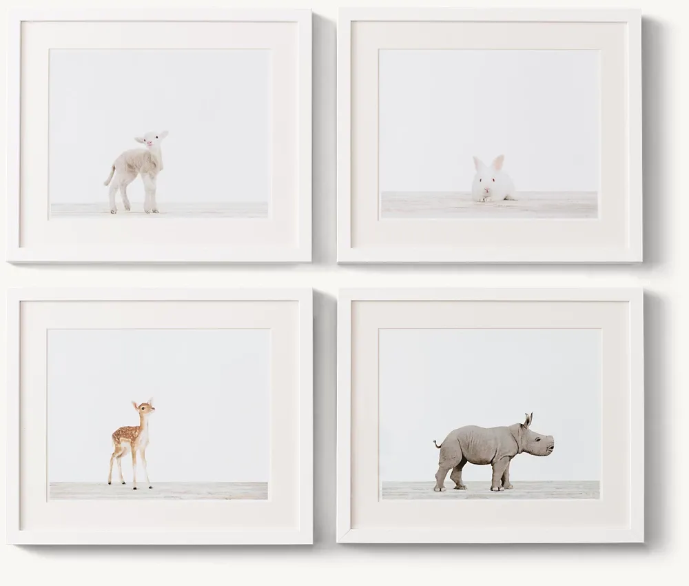 Baby Animal Portrait - Lamb