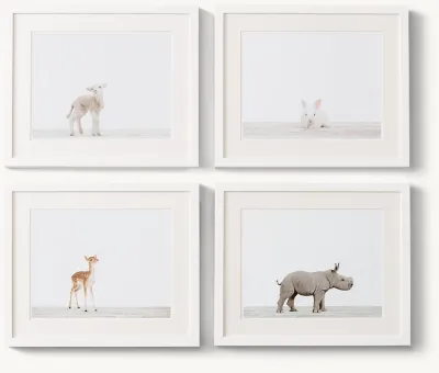 Baby Animal Portrait - Lamb