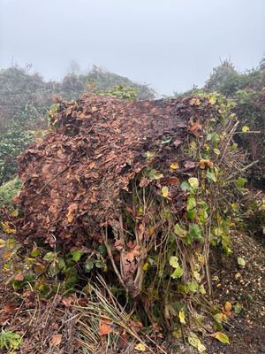 Absetzcontainer für Grünabfälle