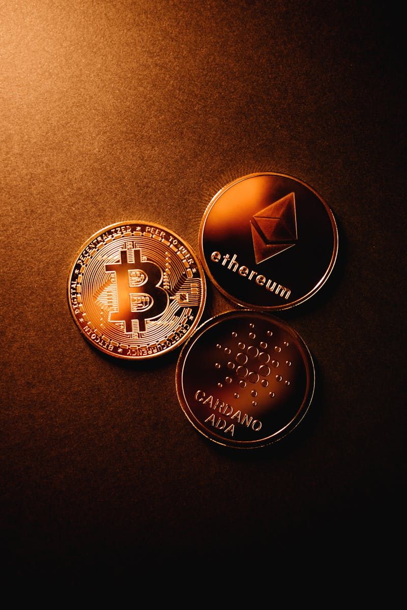 Blockchain Selection & Wallet Setup