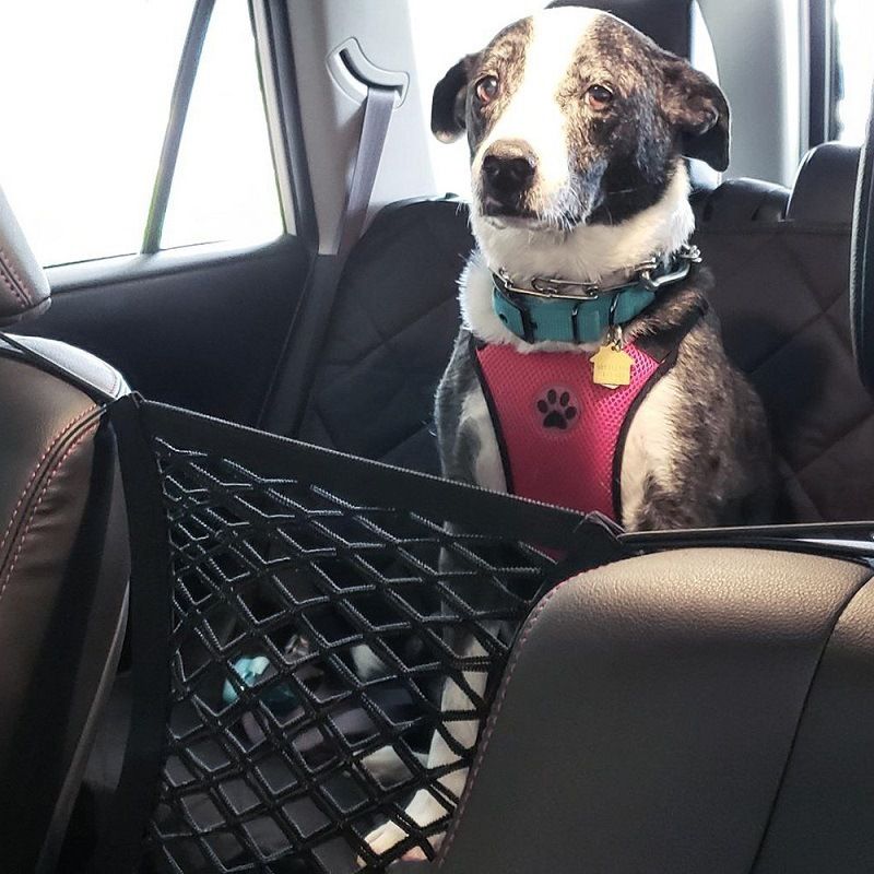 Pet Supplies Amazon Explosive Car Pet Isolation Net Car Rear Isolation Net Pet Supplies Spot
