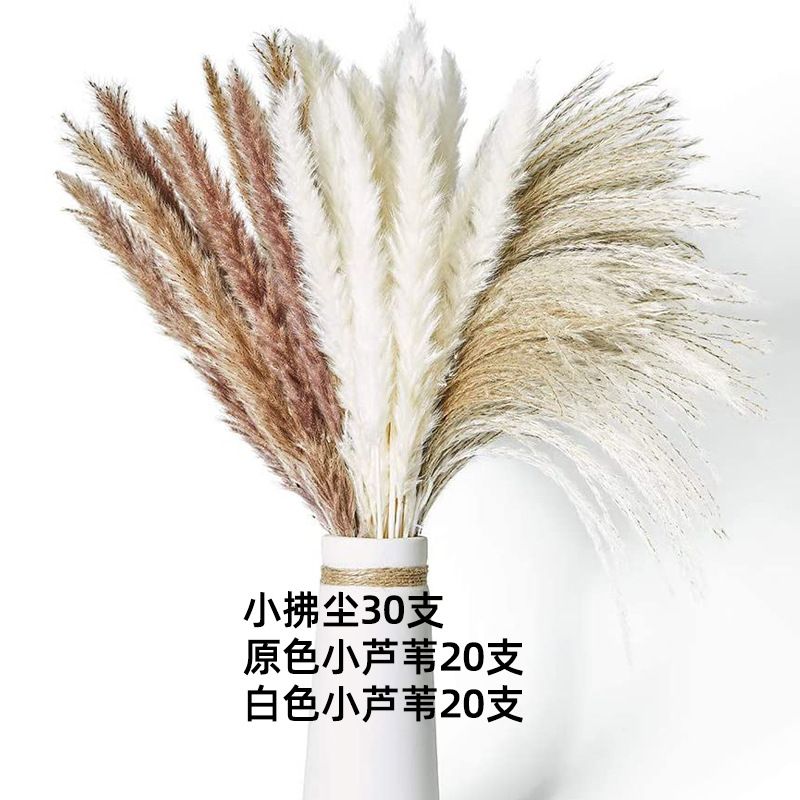 Amazon Hot Sale Pampas Grass Small Reed Rabbit Grass Whisk Nordic Style Home Decor Mix And Match Dried Flower Bouquet, Color: Bouquet 1