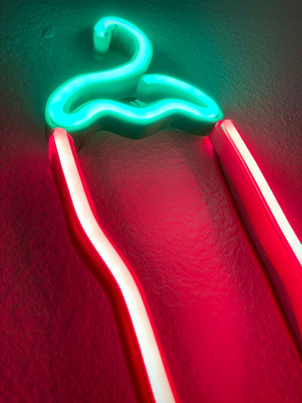 Chile Neon Light