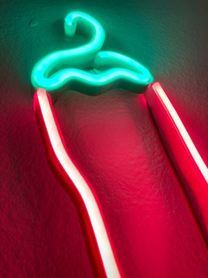 Chile Neon Light