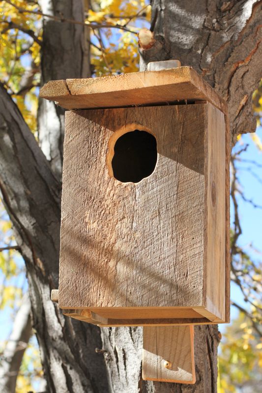 Screech Owl Nest Box Screech Owl Nest Box