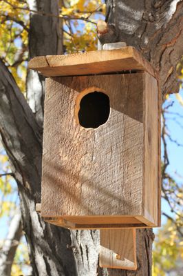 Screech Owl Nest Box Screech Owl Nest Box