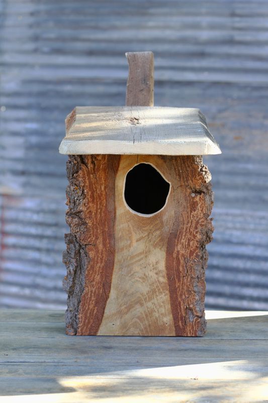 Screech Owl Nest Box