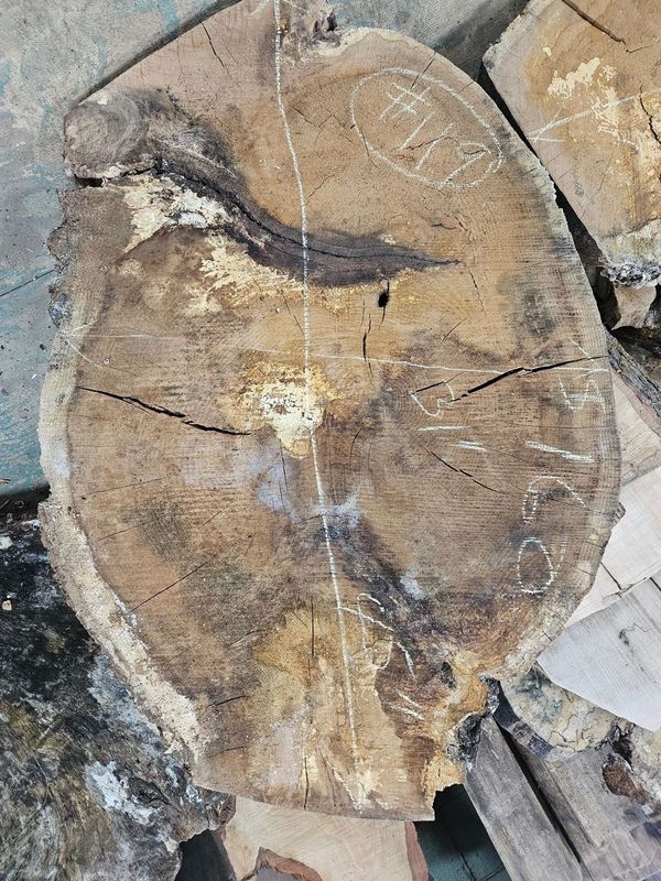 Slab 14