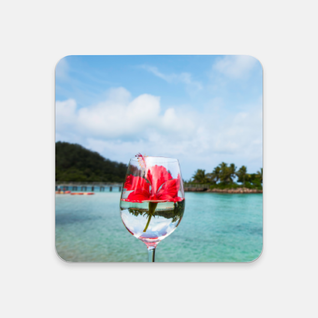 Fiji Island Coaster Set Fiji Island Coaster Set