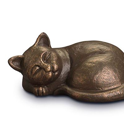 PET URNS