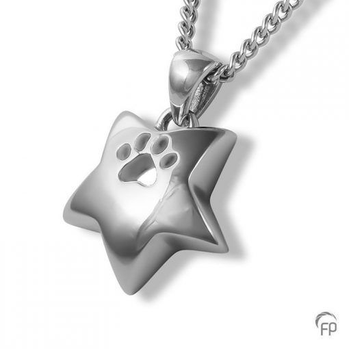 Star Pet Pendant