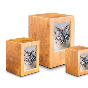 Wooden Urn with foto - natural