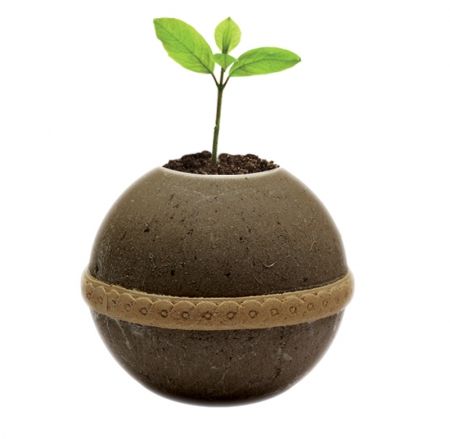 Sandy Bio urn Geos