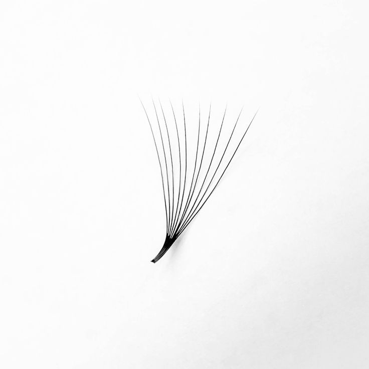 7D Wispy Premade Fans – Soft &amp; Featherlight Drama