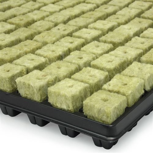 Cultilene Tray 25/150