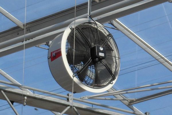 CAF45 AC Ventilator 230V