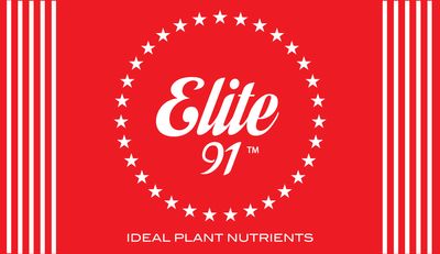 Elite 91