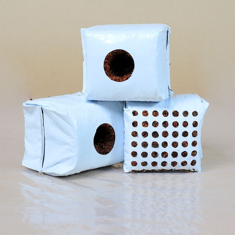 Propagation Cubes