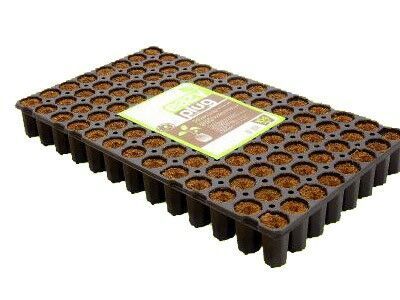 Eazy Plug CT104CR Tray - Stk