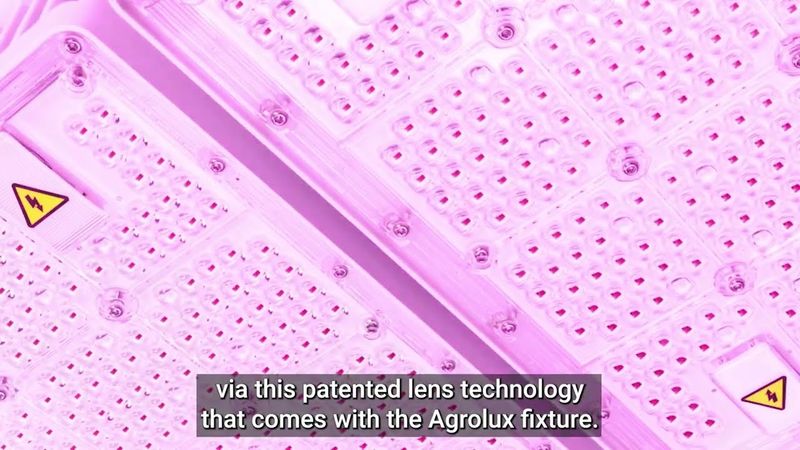Agrolux WEGA Plus 760W