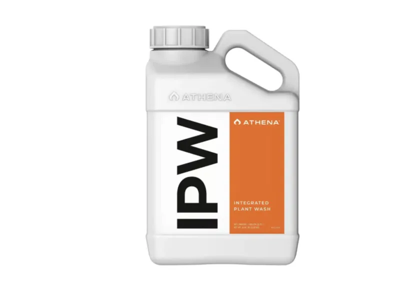 Athena IPW 3.8L