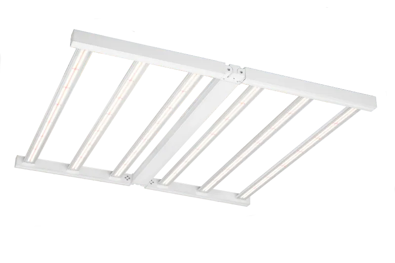 E-Pap Morpho 3.0 LED 660W