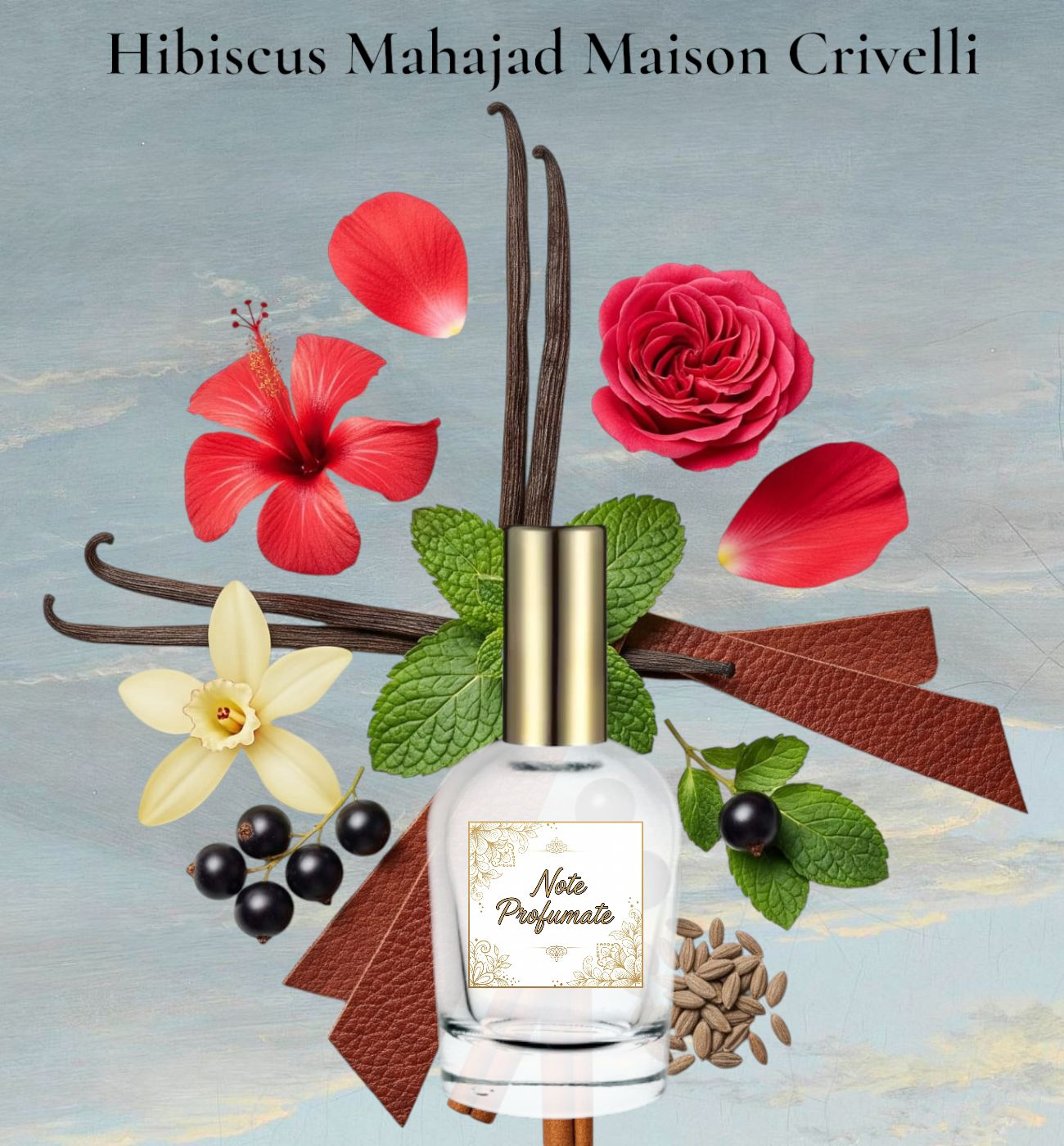 Hibiscus Mahajad Maison Crivelli
