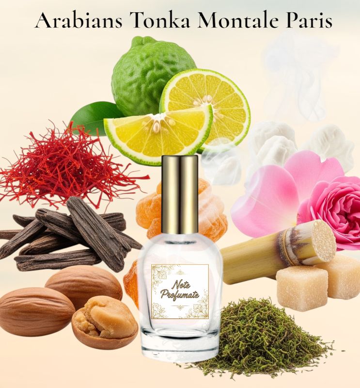 Arabians Tonka Montale Paris