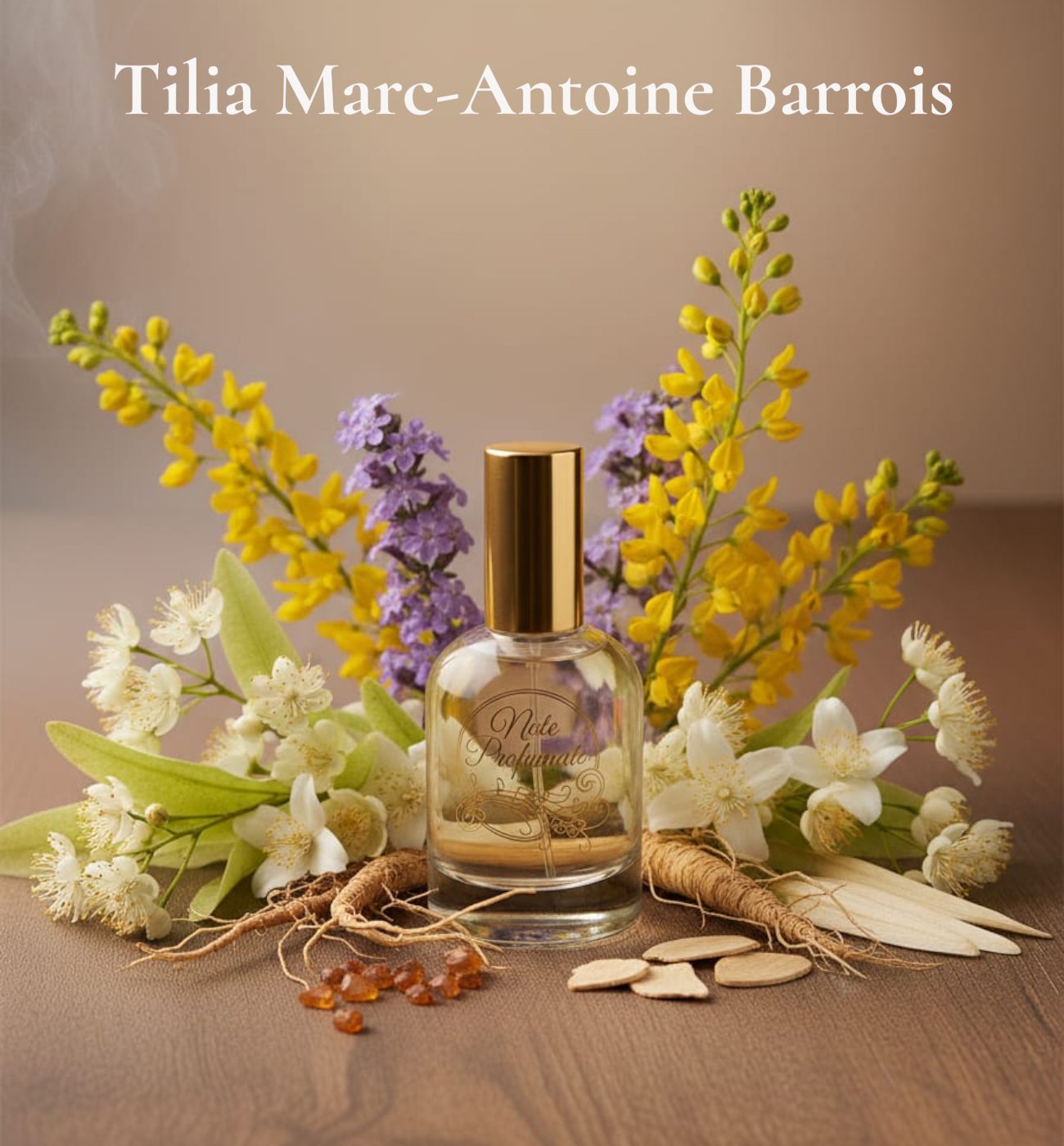 Tilia Marc Antoine Barrois