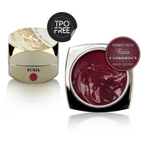 Pigment Pasta Fuxia - 2g