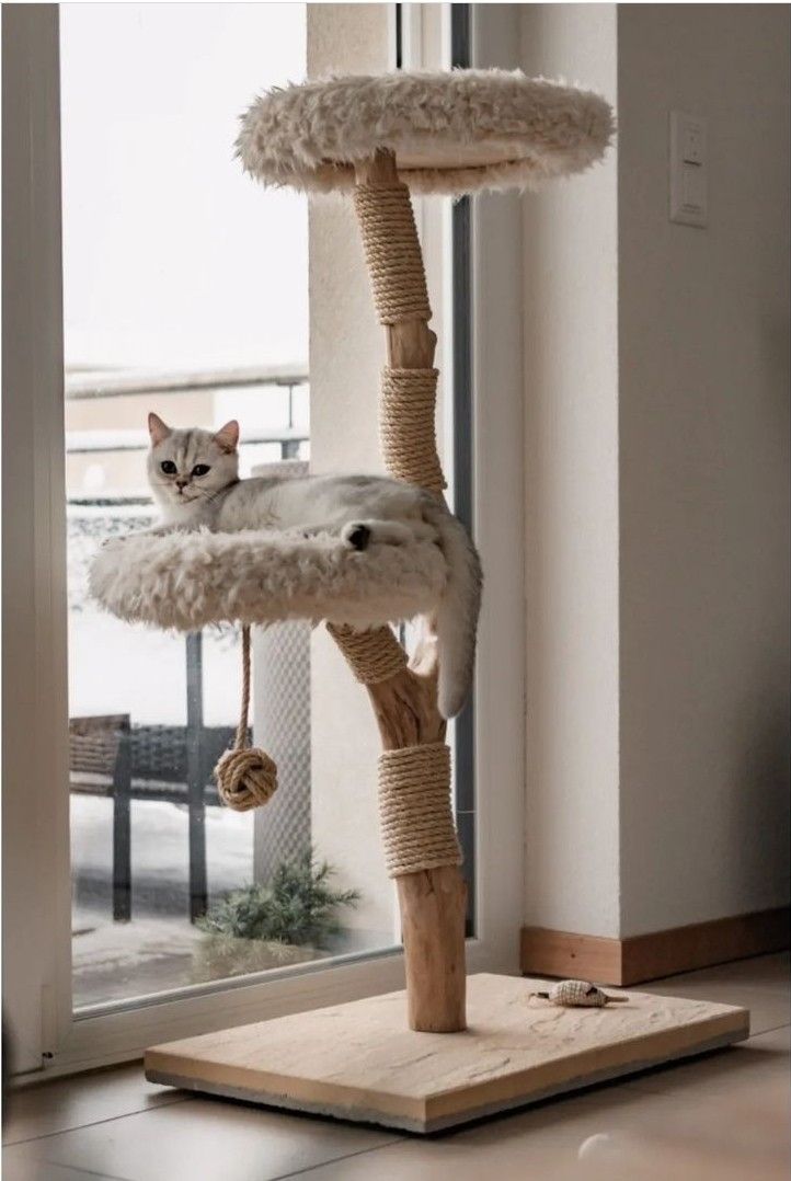 Arbre à Chat N°1