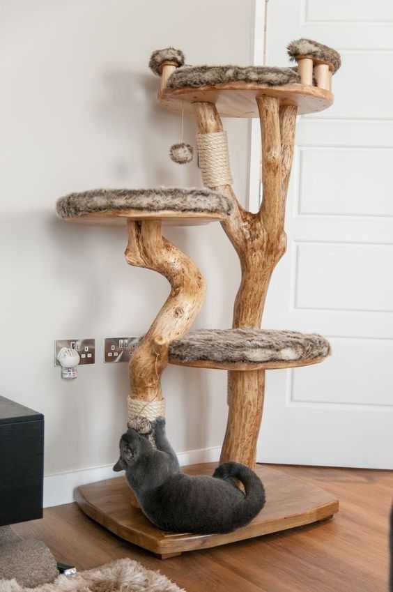 Arbre à Chat N°2